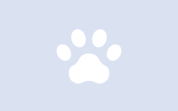 犬・猫の遺伝子検査（DNAキット）でわかることと選び方