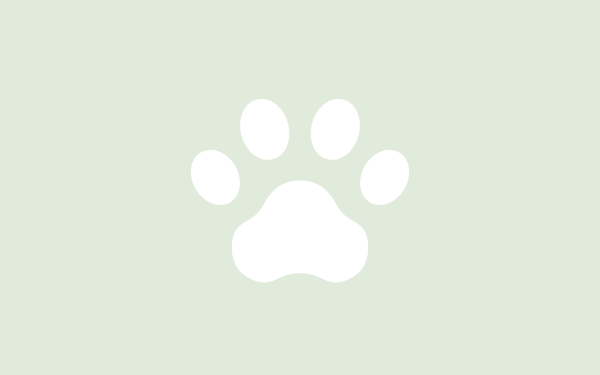 子犬のトイレトレーニングのやり方｜失敗しないコツと進め方